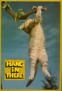 kitten-hang-in-there-poster