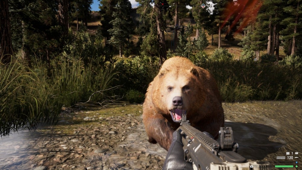 Far Cry 5 Bear